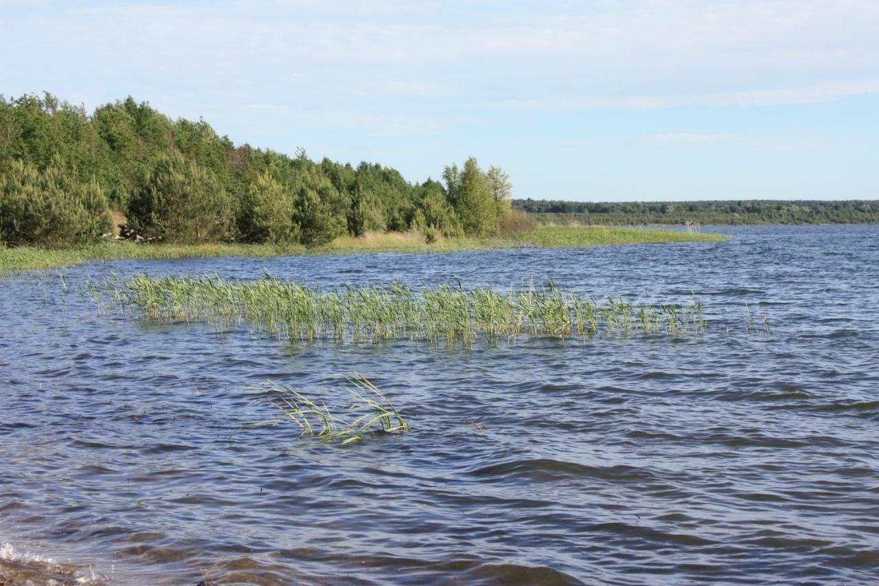 Ferienwohnungen Heideblick Grafenhainichen Exterior foto